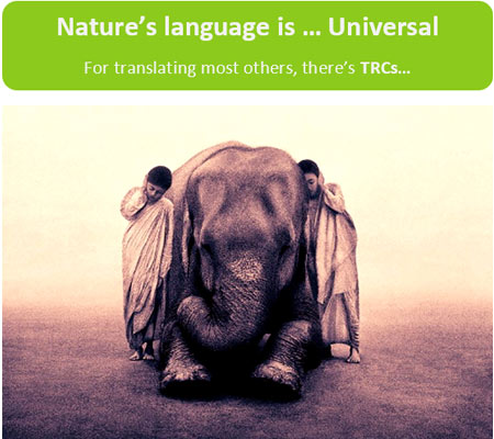 Legal Translations Services